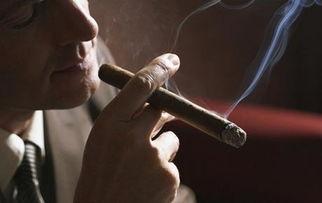 国产雪茄抽法视频,视频教学带你领略烟韵风情