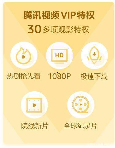 国产免费vip视频在线观看