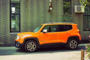 国产吉普四驱视频,驰骋山川，征服极限