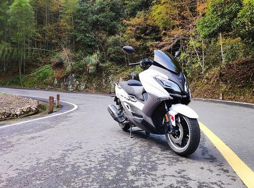 国产大踏板解读视频播放