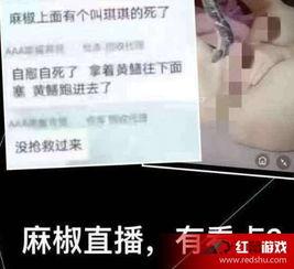 黄鳝门在线视频国产完整,揭秘国产网络直播的隐秘世界