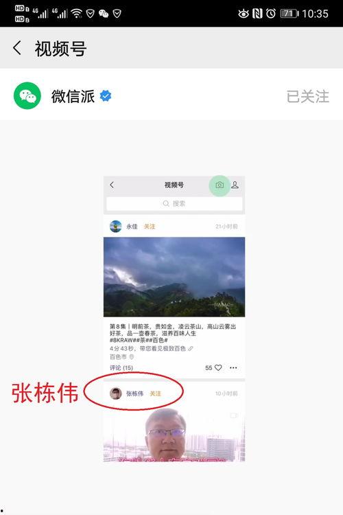 微信国产萝莉视频,引发网友热议