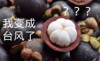 国产山竹品种视频,探寻本土美味新选择  第2张