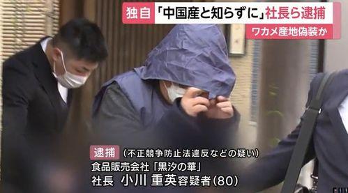 国产视频日本,文化交融下的视觉盛宴  第2张